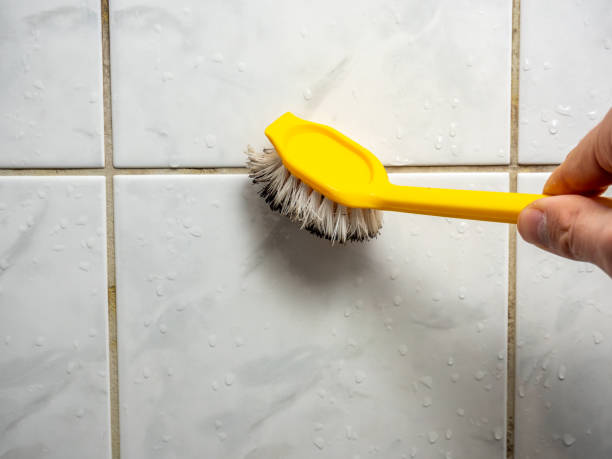 Reliable Lewisville, WA Mold Remediation Solutions